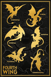 Poster Fourth Wing Dragons 61x91 5cm GBYDCOA048 | Yourdecoration.es