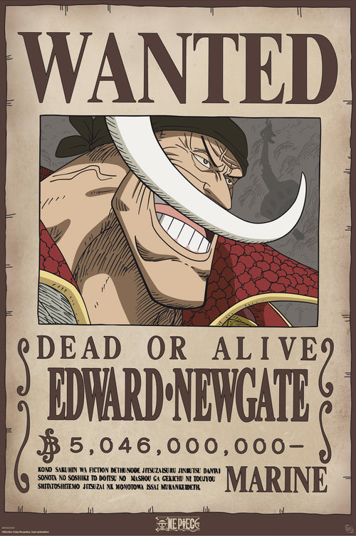 Poster One Piece Wanted Whitebeard 61x91 5cm GBYDCO596 | Yourdecoration.es