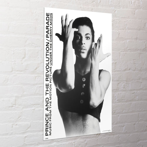 Poster Prince 61x91 5cm WPSX056 Sfeer | Yourdecoration.es