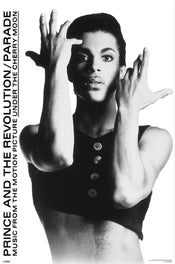 Poster Prince 61x91 5cm WPSX056 | Yourdecoration.es