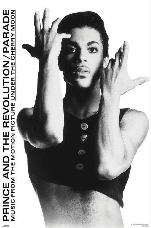 Poster Prince 61x91 5cm WPSX056 | Yourdecoration.es