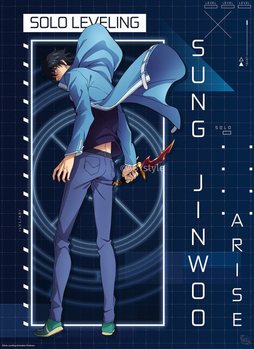 Poster Solo Leveling Jinwoo Arise 61x91 5cm GBYDCOA025 | Yourdecoration.es