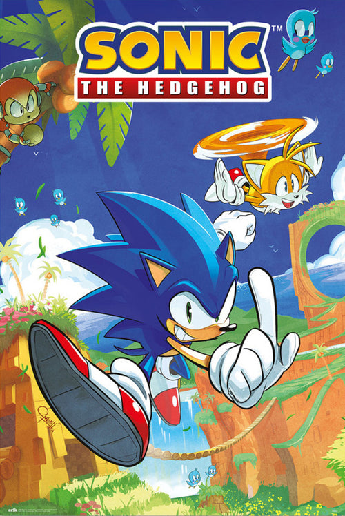 Póster Sonic The Hedgehog And Tails xcm Grupo Erik GPE5798 | Yourdecoration.es