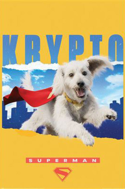 Poster Superman Krypto 61x91 5cm PP2500425 | Yourdecoration.es