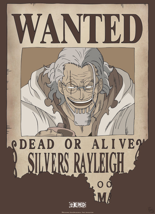 Abystyle Gbydco268 One Piece Wanted Rayleigh Póster 38x52cm | Yourdecoration.es