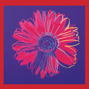 Andy Warhol  Daisy 1982 Reproducción de arte 90x90cm | Yourdecoration.es