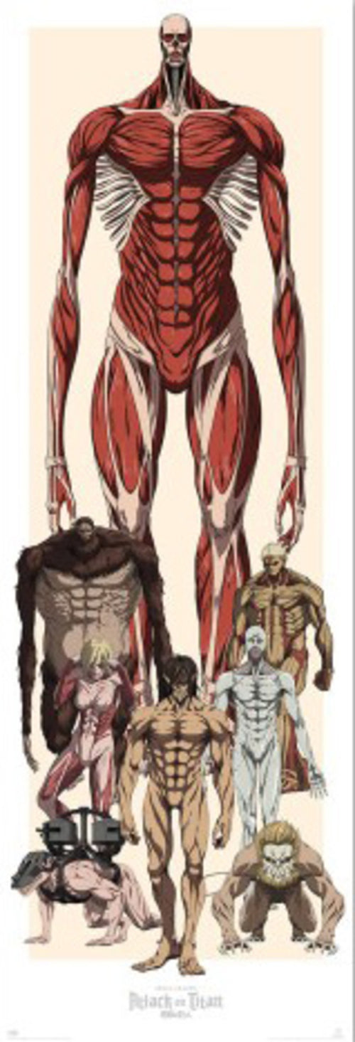 Póster Attack on Titan 53x158cm
