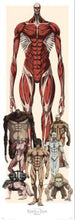 Póster Attack on Titan 53x158cm