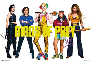 GBeye Birds of Prey Group Póster 91,5x61cm | Yourdecoration.es