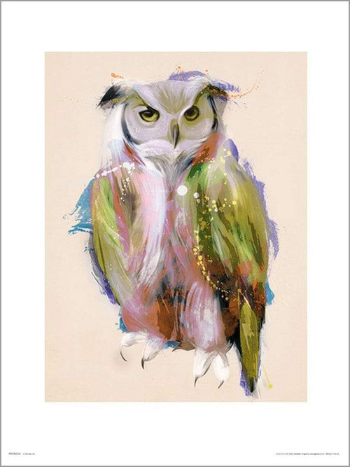 GBeye Owl Paint Reproducción de arte | Yourdecoration.es