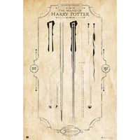 Grupo Erik GPE5161 Harry Potter The Wand Póster 61X91,5cm | Yourdecoration.es