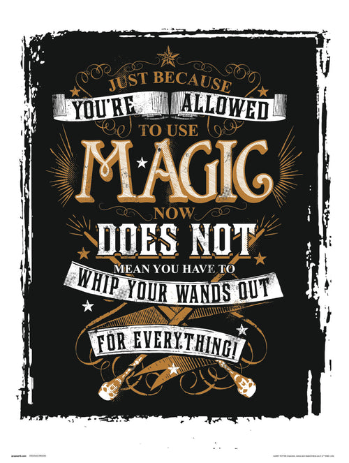 Grupo Erik Harry Potter Magic Reproducción de arte 30X40cm | Yourdecoration.es