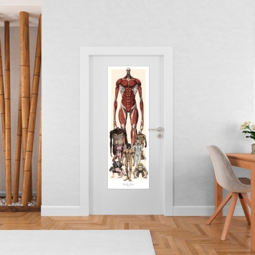 Póster Attack on Titan 53x158cm