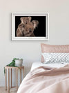 Komar Koala Bear Reproducción de arte 70x50cm Sfeer | Yourdecoration.es