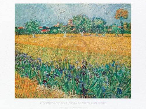 Vincent Van Gogh  Vista di Arles Con Irises Reproducción de arte 80x60cm | Yourdecoration.es