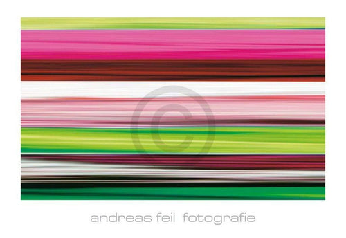 Andreas Feil  Fotografie II Reproducción de arte 138x95cm | Yourdecoration.es