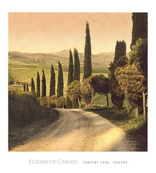 Elisabeth Carmel  Country Lane, Tuscany Reproducción de arte 45x50cm | Yourdecoration.es