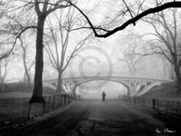 Henri Silberman  Gothic Bridge, Central Park NYC Reproducción de arte 80x60cm | Yourdecoration.es