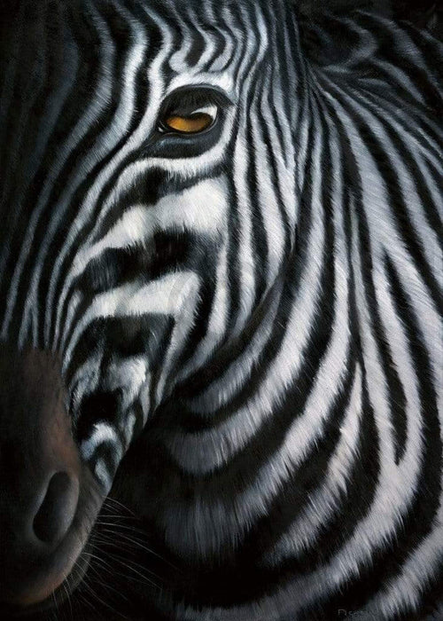 Jutta Plath  Zebra I Reproducción de arte 60x80cm | Yourdecoration.es