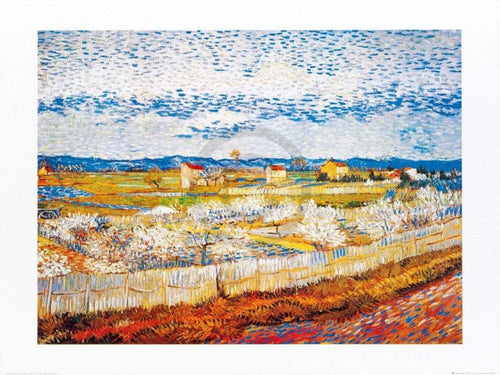 Vincent Van Gogh  Pesco in fiore Reproducción de arte 80x60cm | Yourdecoration.es