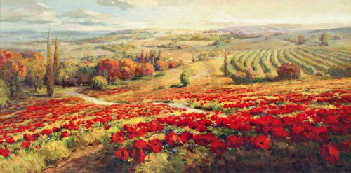 Roberto Lombardi  Red Poppy Panorama Reproducción de arte 120x60cm | Yourdecoration.es