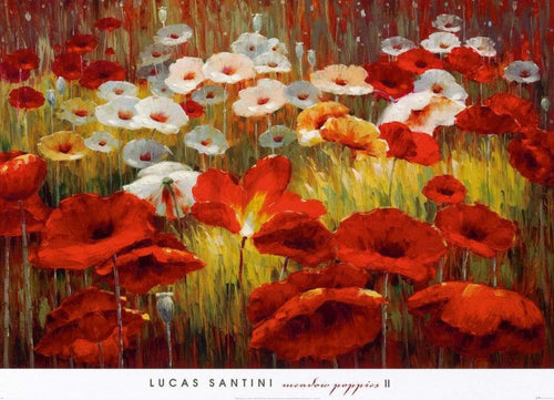 Lucas Santini  Meadow Poppies II Reproducción de arte 91x66cm | Yourdecoration.es