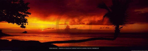 Tom Mackie  Tropical Beach at Sunset Reproducción de arte 95x33cm | Yourdecoration.es
