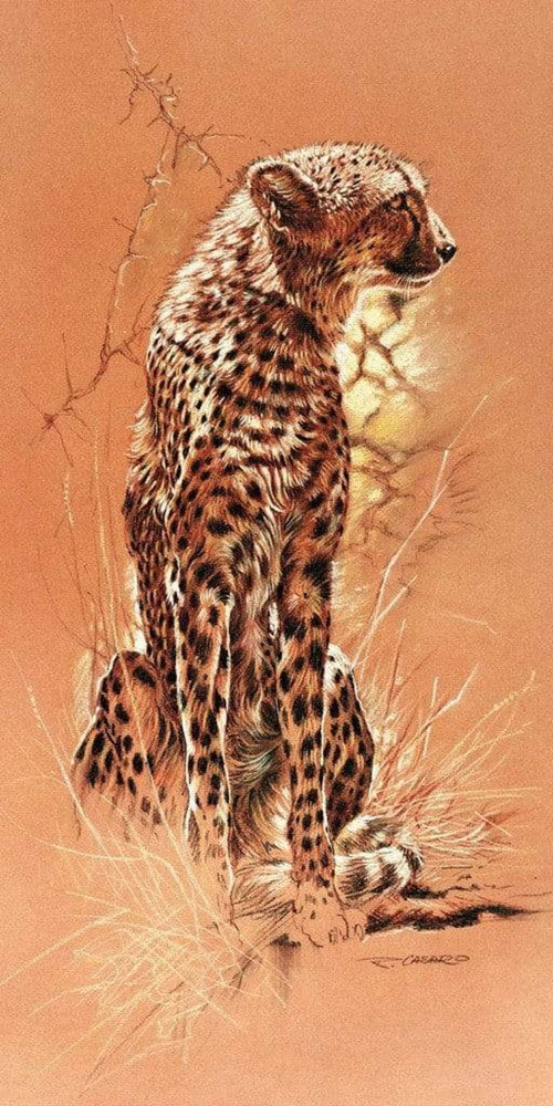Renato Casaro  Cheetah Reproducción de arte 50x100cm | Yourdecoration.es