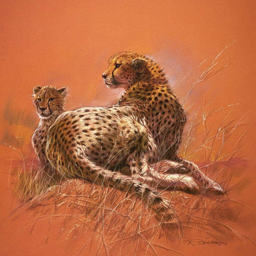 Renato Casaro  Cheetah Mother Reproducción de arte 50x50cm | Yourdecoration.es