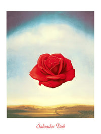 Salvador Dali  Rose meditative Reproducción de arte 60x80cm | Yourdecoration.es