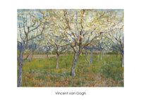 Vincent Van Gogh  The Orchard Reproducción de arte 70x50cm | Yourdecoration.es