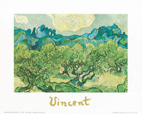 Vincent Van Gogh  Landscapes with olive trees Reproducción de arte 30x24cm | Yourdecoration.es