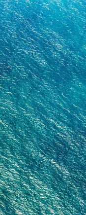 psh096 vd1 komar blaupause Fotomural Tejido No Tejido 100x250cm 1 Tira | Yourdecoration.es