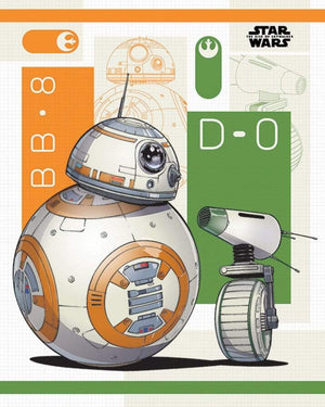 Pyramid Star Wars The Rise of Skywalker BB 8 and D 0 Póster 40x50cm | Yourdecoration.es