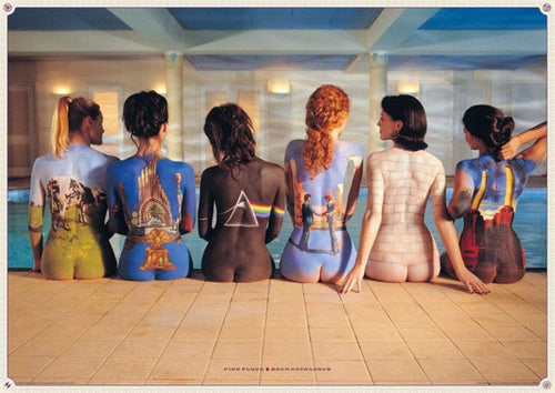 Pyramid Pink Floyd Back Catalogue Póster 91,5x61cm | Yourdecoration.es