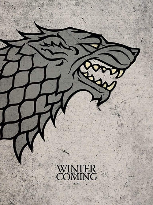 Pyramid Game of Thrones Stark Reproducción de arte 60x80cm | Yourdecoration.es