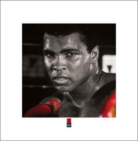 Pyramid Muhammad Ali Boxing Gloves Reproducción de arte 40x40cm | Yourdecoration.es