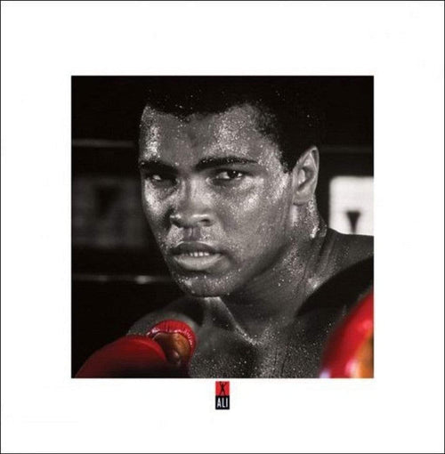 Pyramid Muhammad Ali Boxing Gloves Reproducción de arte 40x40cm | Yourdecoration.es