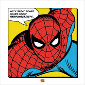 Pyramid Spider Man With Great Power Reproducción de arte 40x40cm | Yourdecoration.es