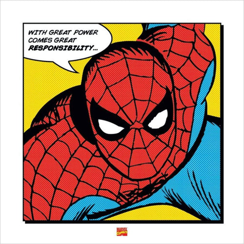 Pyramid Spider Man With Great Power Reproducción de arte 40x40cm | Yourdecoration.es