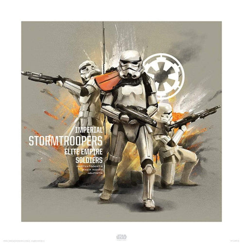 Pyramid Star Wars Rogue One Stormtroopers Profile Reproducción de arte 40x40cm | Yourdecoration.es