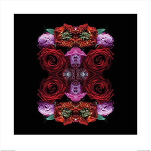 Pyramid Alyson Fennell Paradise of Petals Reproducción de arte 60x60cm | Yourdecoration.es