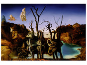 Salvador Dali  Reflections of Elephants Reproducción de arte 80x60cm | Yourdecoration.es