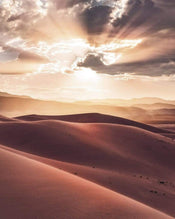 sh017 vd2 komar god rays Fotomural Tejido No Tejido 200x250cm 2 Tiras | Yourdecoration.es