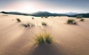 shx9 091 komar vivid dunes Fotomural Tejido No Tejido 450x280cm 9 Tiras cda007d7 1669 44dc b5b6 a2b0edf24dc2 | Yourdecoration.es