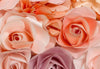 Papel Pintado - Flowers 366x254cm - Papel Tapiz de Papel