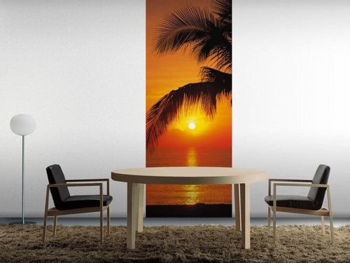 2 1255 komar palmy beach sunrise Fotomural 92x220 ed6ccd80 e27f 476d a170 ef2ecd8f2322 | Yourdecoration.es