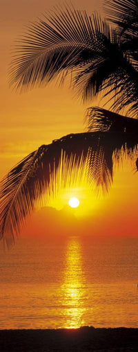 2 1255 komar palmy beach sunrise Fotomural 92x220 | Yourdecoration.es