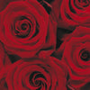 4 077 komar roses Fotomural 194x270cm 4 Partes det | Yourdecoration.es