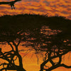 4 501 komar african sunset Fotomural 194x270cm 4 265b0c34 34e2 4b60 954e c155aae758a5 | Yourdecoration.es